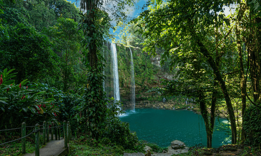 image Chiapas Misol Ha 2