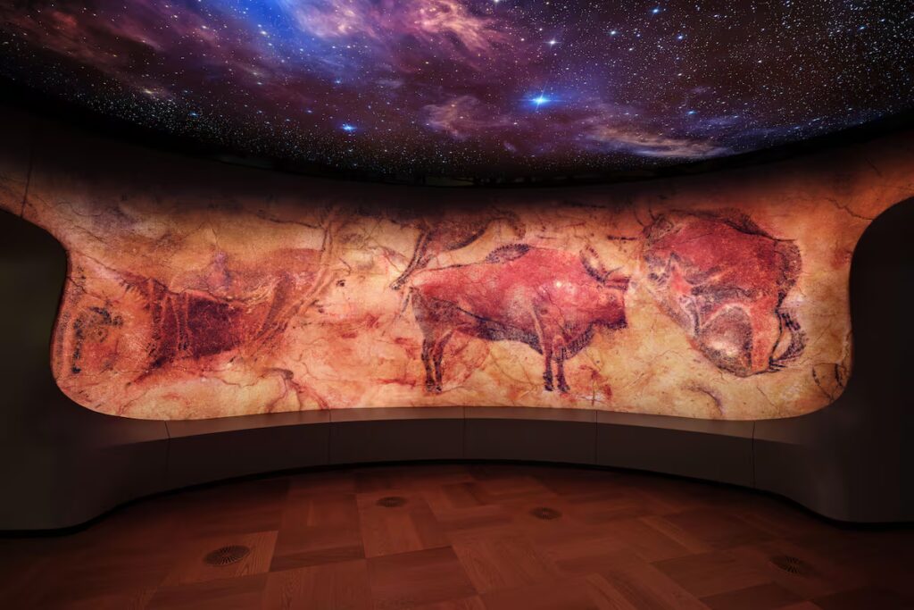 Los bisontes de Altamira ahora sorprenden en el museo de George Lucas image VVQ4L7YSIRBUXNH3H62G7DBOSQ