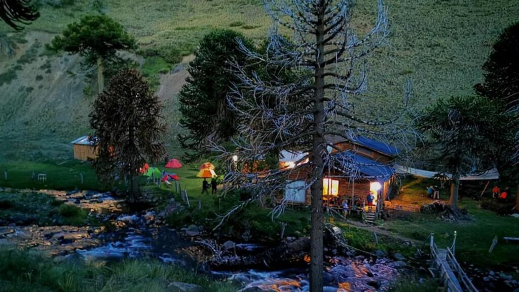Buscan voluntarios para vivir en la Patagonia chilena con alojamiento y comida incluidos image el parque esta ubicado en lonquimay region de la araucania foto worldpackers K35ZDC3XFRCMDDNAIUMCYFN3JA
