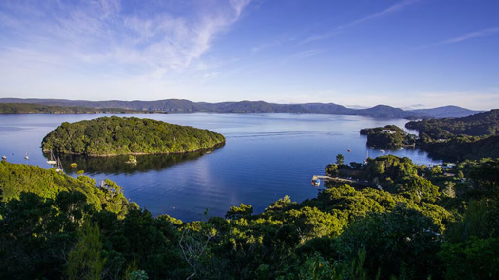 image el programa busca voluntarios que puedan colaborar con diferentes tareas de proteccion ambiental foto seethesouthislandcom 2DJUAUEIHBHBTJX6KZ3DDGOYUI