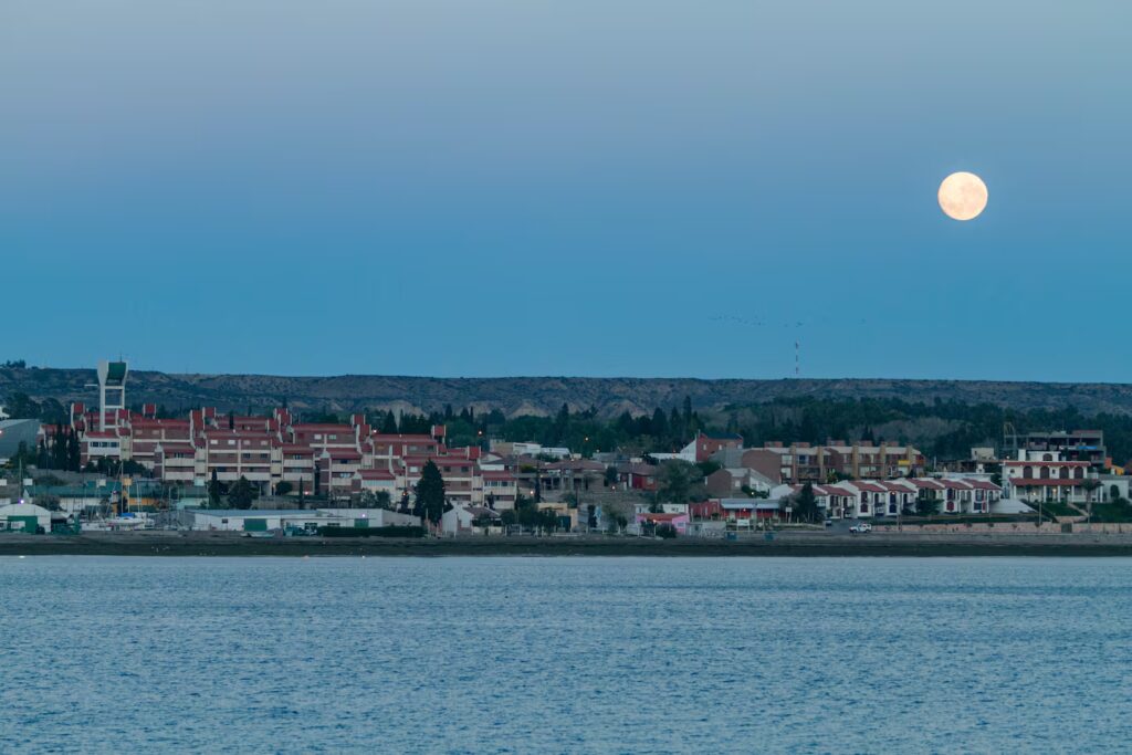 image el voluntariado incluye distintos beneficios para aprovechar en puerto madryn foto adobe stock BJTC3XOLEZA33MODYYUAZR224M