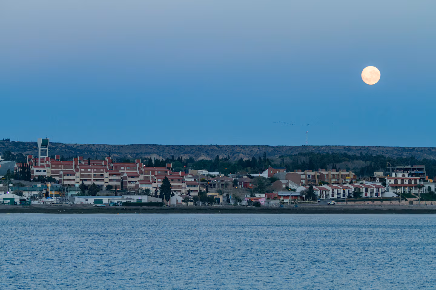 el-voluntariado-incluye-distintos-beneficios-para-aprovechar-en-puerto-madryn-foto-adobe-stock-BJTC3XOLEZA33MODYYUAZR224M