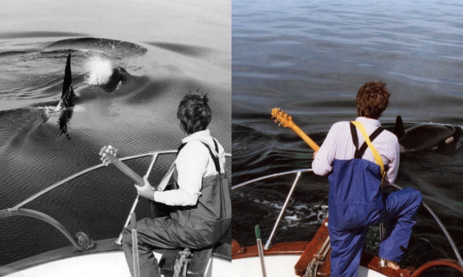 guitarra orcas (2)