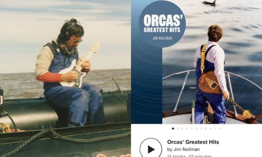 image guitarra orcas 3