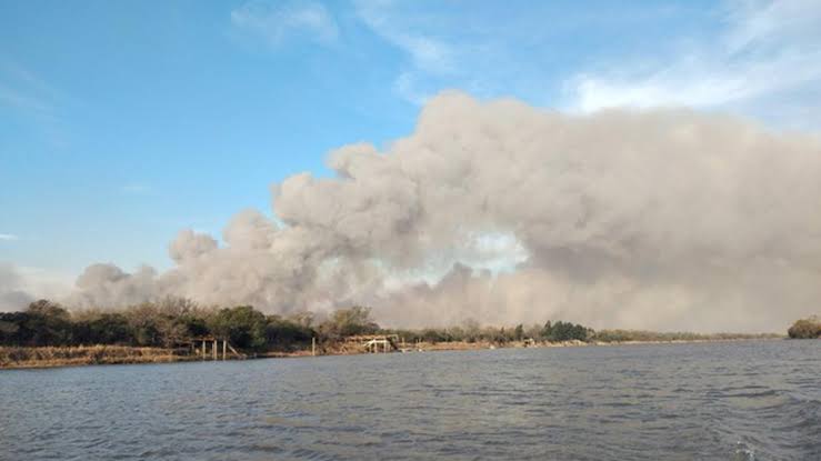 Más de 1.700 hectáreas quedaron bajo fuego en las islas del Delta del Paraná image images 2026 09 08T122030.398