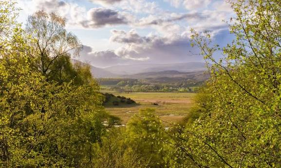 Buscan voluntarios para vivir gratis en una reserva natural de Escocia y trabajar con fauna image images 2026 09 18T114230.246