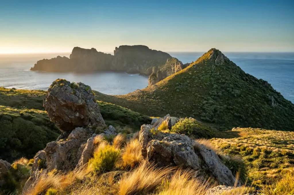 La isla más tranquila del mundo está en Nueva Zelanda y tiene auroras australes image isla stewart a5b6c147 260914115447 1280x850