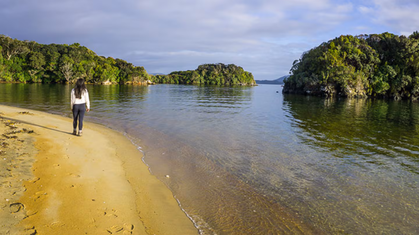 la-isla-de-ulva-en-nueva-zelanda-se-destaca-por-sus-paisajes-naturales-y-sus-playas-foto-seethesouthislandcom-YXMBJVGA2ZDW5HCIMENXRSNK2U