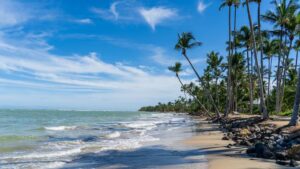 reforestar el amazonas Conoce cómo ser un comprador consciente y ayudar a reforestar el Amazonas image reforestar el amazonas ni cancun ni punta cana el paraiso del caribe con agua turquesa playas sonadas que no tienen sargazo y que eligen los argentinos M3HX6OHX4ZFA7OC2Q5EMV3X5NI