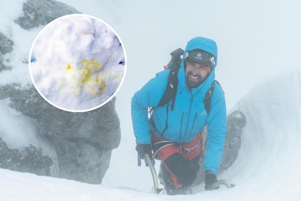 image un alpinista escaladno y nieve manchada de orina