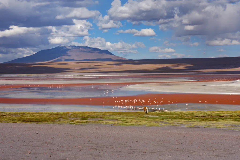 image Bolivia Hidalgo Tours 3