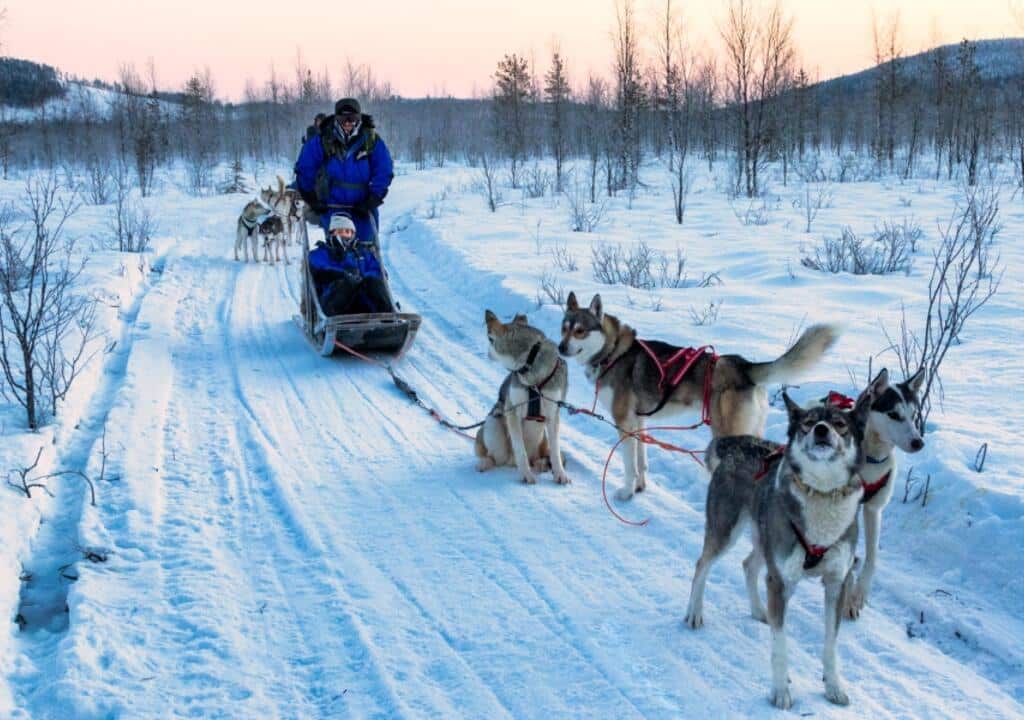 Husky