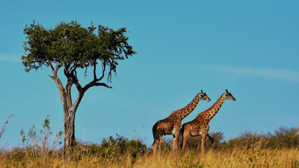 image 6 países baratos para viajar en 2027 Sudafrica 2