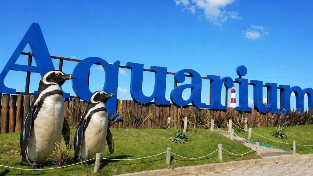 El Aquarium de Mar del Plata vendió sus últimos pingüinos por US$ 40.000 y se prepara para cerrar definitivamente image aquarium