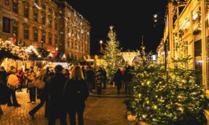 image reforestar el amazonas free photo of vibrant night christmas market celebration 1068x636 1