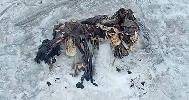Encuentran explosivos de la Primera Guerra Mundial dentro de un glaciar de los Alpes image images 2026 10 04T113616.569