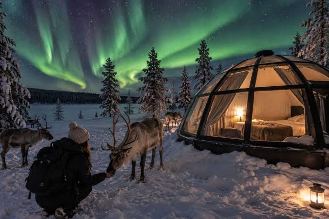 image images 2026 10 12T113253.769