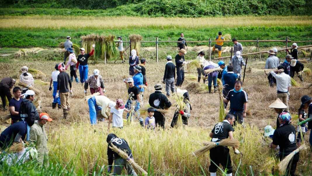 img-3-japon-wwoof-1068×601 img-3-japon-wwoof-1068x601