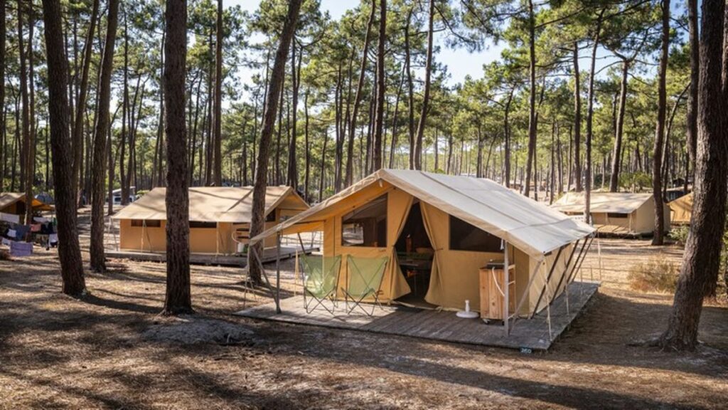 Una cadena francesa quiere instalar campings de lujo en cuatro parques nacionales de Argentina image inversion hoteles costa atlantica parques nacionales huttopia