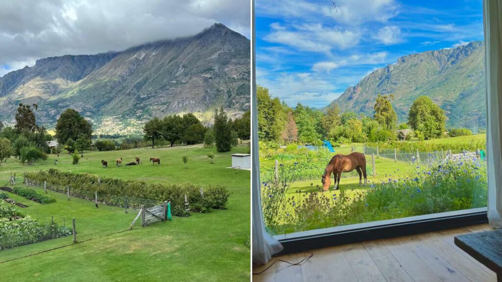 Una familia de Chubut busca voluntarios para trabajar en una granja y ofrece alojamiento por tres meses image la chacra cuenta con tres cabanas para huespedes animales vinedos y huertas para trabajar foto workawayinfo CFZDXND6QZHQ3MM5RXXPZWIUKE