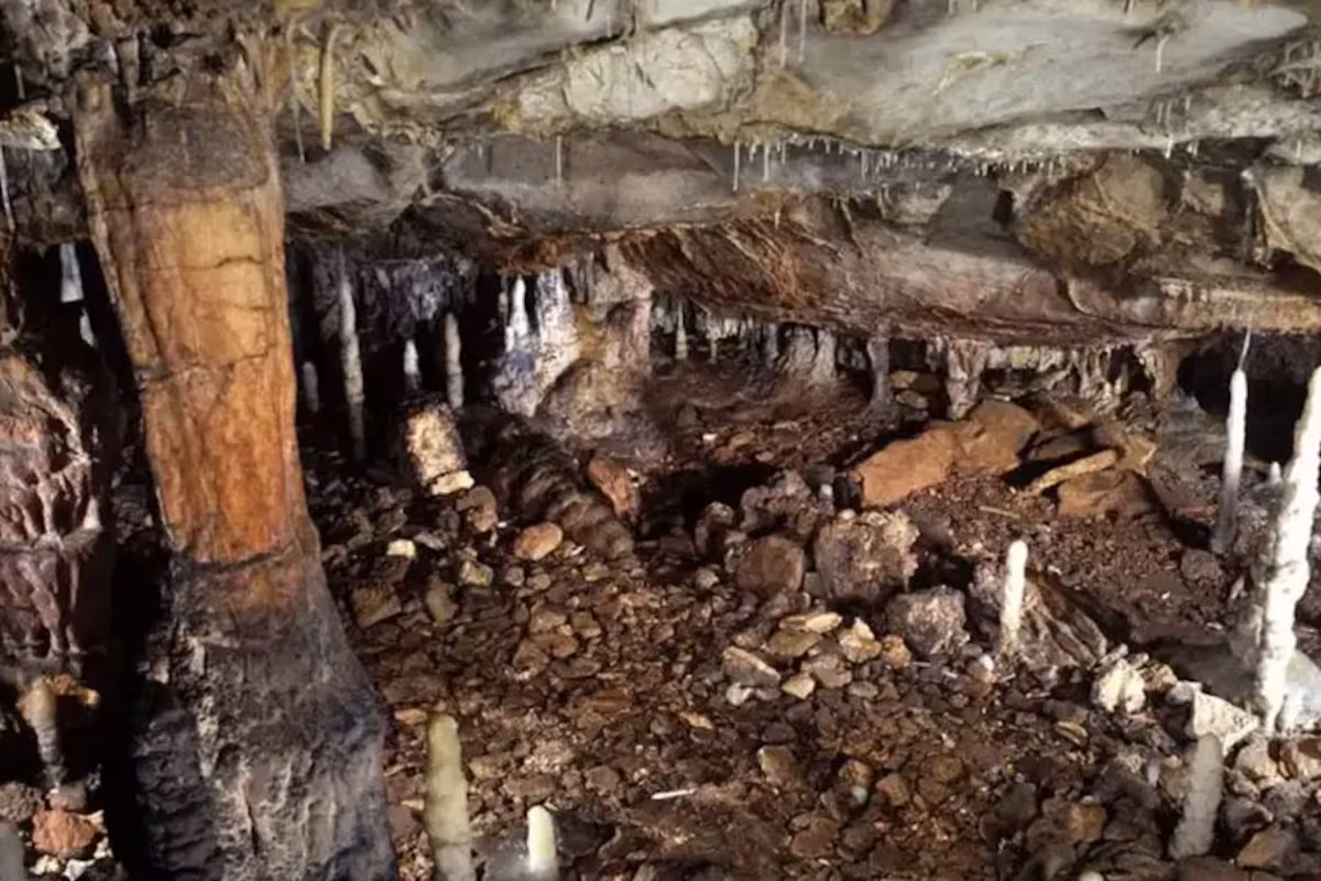una-cueva-en-cantabria-esconde-uno-de-los-mejores-75F6SSPFUFBPZIGTIZMIOYUOFE una-cueva-en-cantabria-esconde-uno-de-los-mejores-75F6SSPFUFBPZIGTIZMIOYUOFE