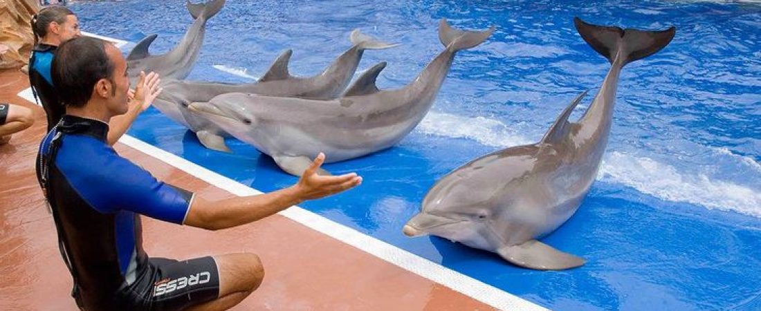 00944f4225ae6c0b223a3c5309187497