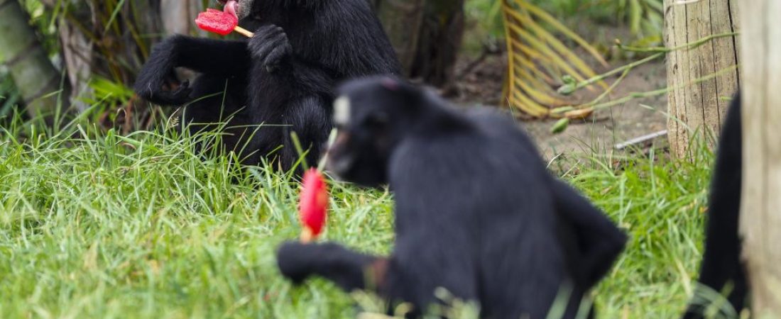 09121059-343a-41c3-bc4e-2fe834f179b4