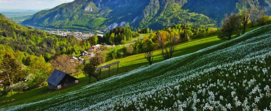 10 imágenes para enamorarse del nuevo sendero de los Alpes Julianos, en Eslovenia 8