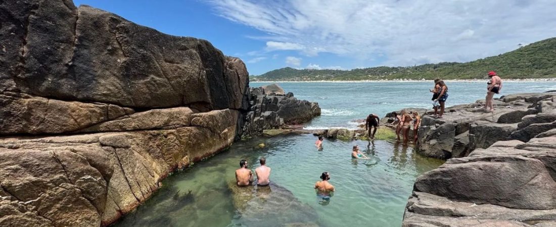 1115756_202512062046150000001 (1)