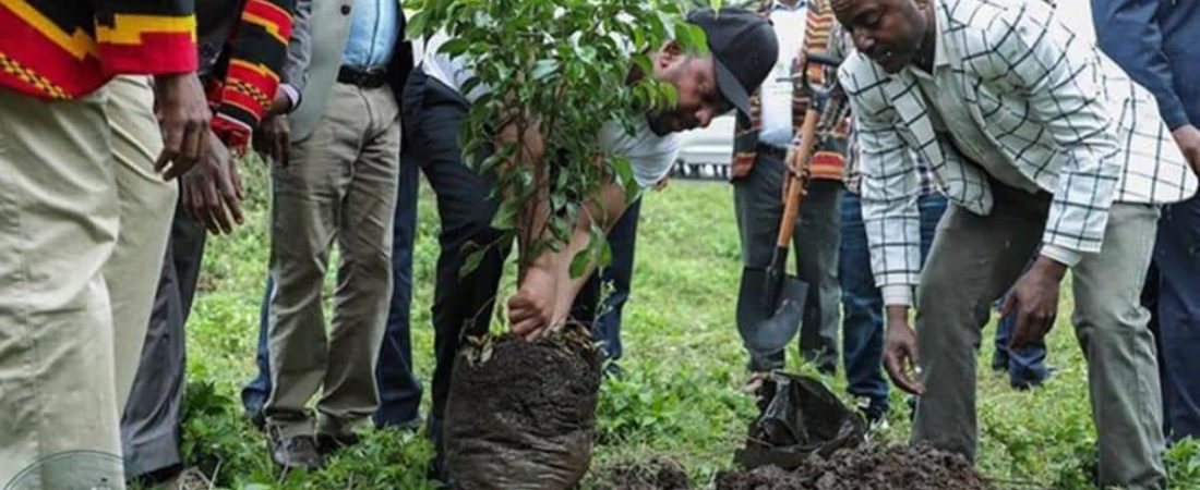 1392be31-148c-4d50-a7f1-33116ff945f8_alta-libre-aspect-ratio_default_0