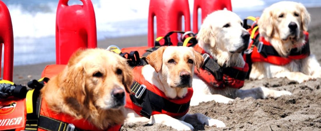 14-sicurezza-in-spiaggia