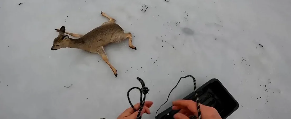 1536x864_cmsv2_91f1e0b0-2bd3-50ee-b9ec-c197c87656f7-9569259