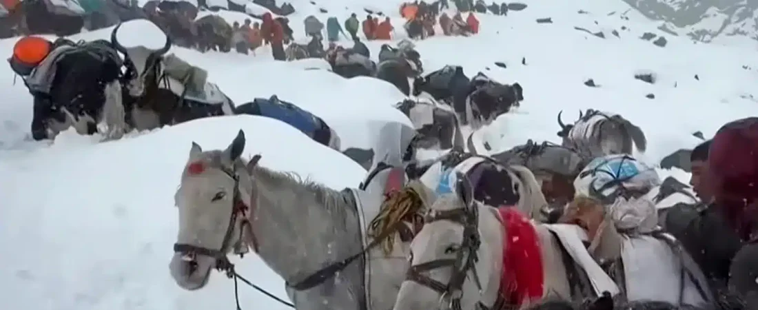 1536x864_cmsv2_a600b4ae-9f9f-52d2-8dfd-a1a61888ddac-9501238