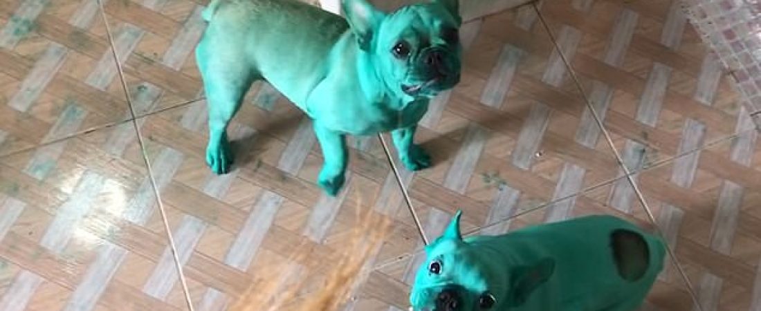 16488978-7285111-image-a-41_1564056072007