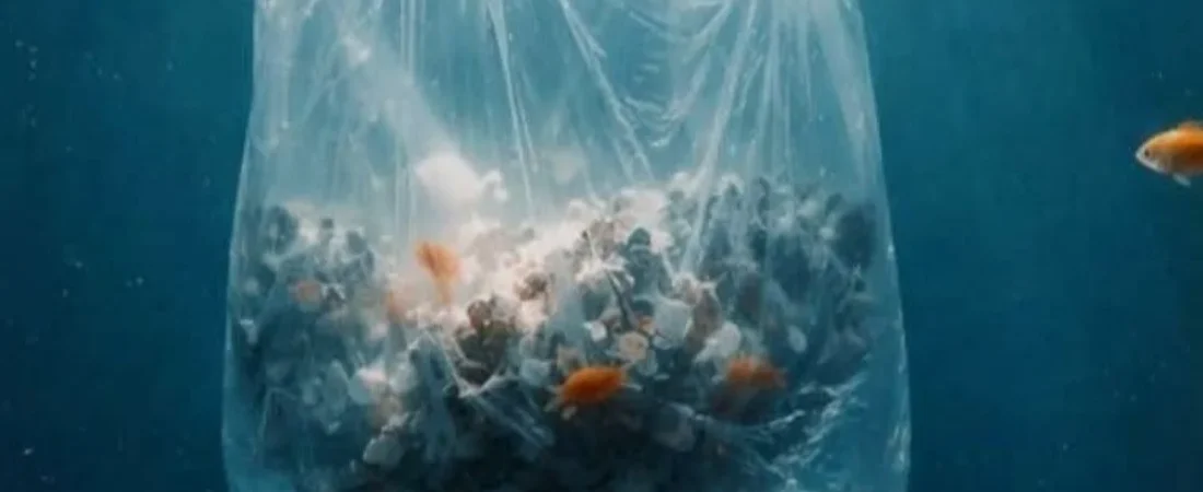 1770999587_archive_Texto_del_parrafo___2026_02_13T131913.113