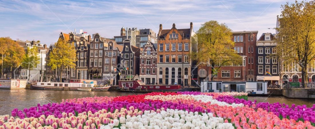 200094987-ámsterdam-países-bajos-horizonte-de-la-ciudad-en-el-paseo-marítimo-del-canal-con-flor-de-tulipán-de-