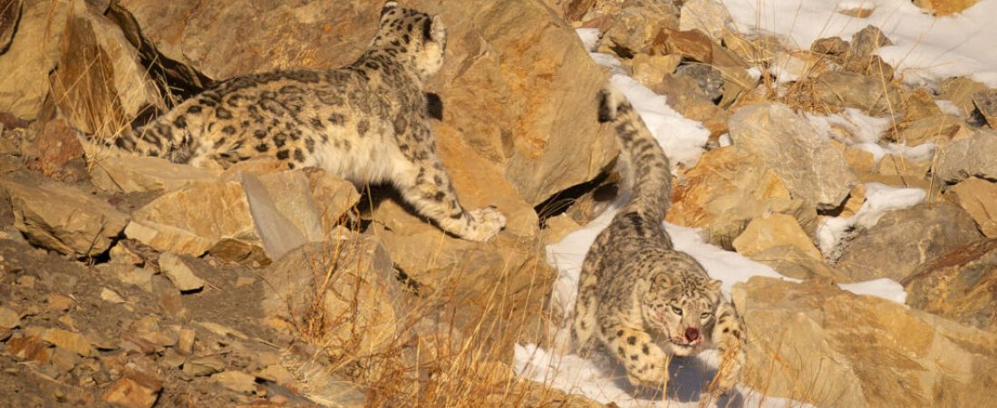 20250217-embalse-el-yeso-dic-202416887-arw-2048x1365-u-100-long-edge-1-1024x683