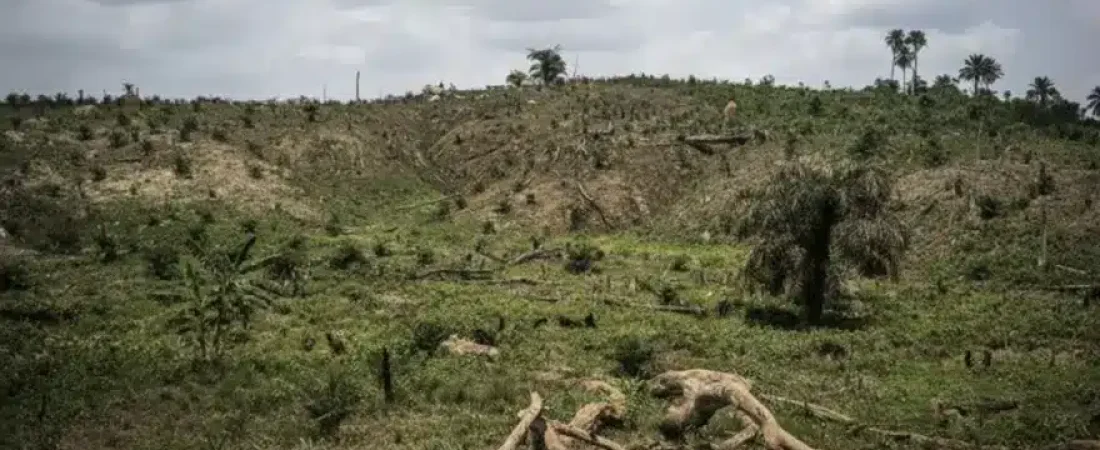 20251004200501_captura-de-pantalla-2025-10-04-a-la-s-8-03-29-p-nbsp-m