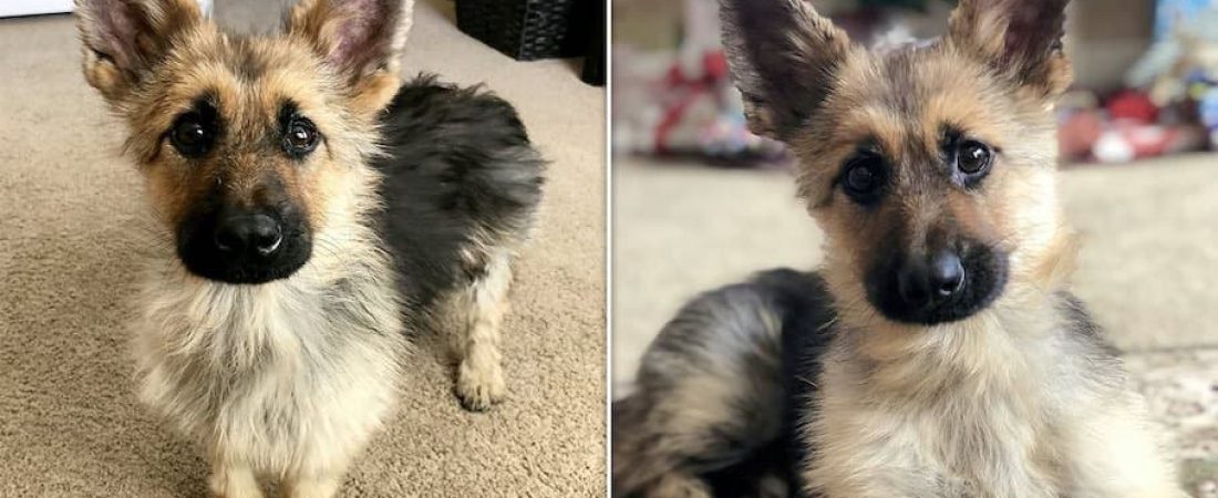 21284976-0-image-a-10_1574328533943