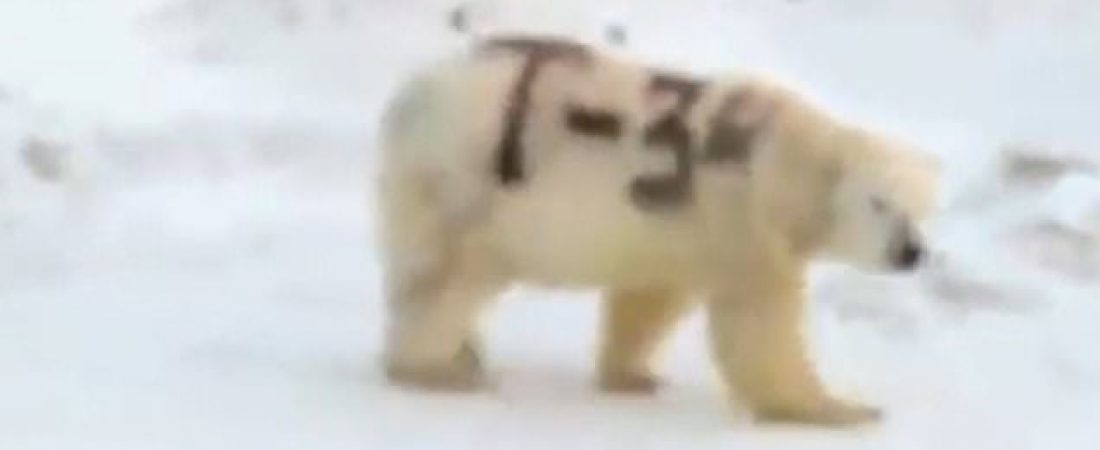 21709318-0-image-m-18_1575290337930