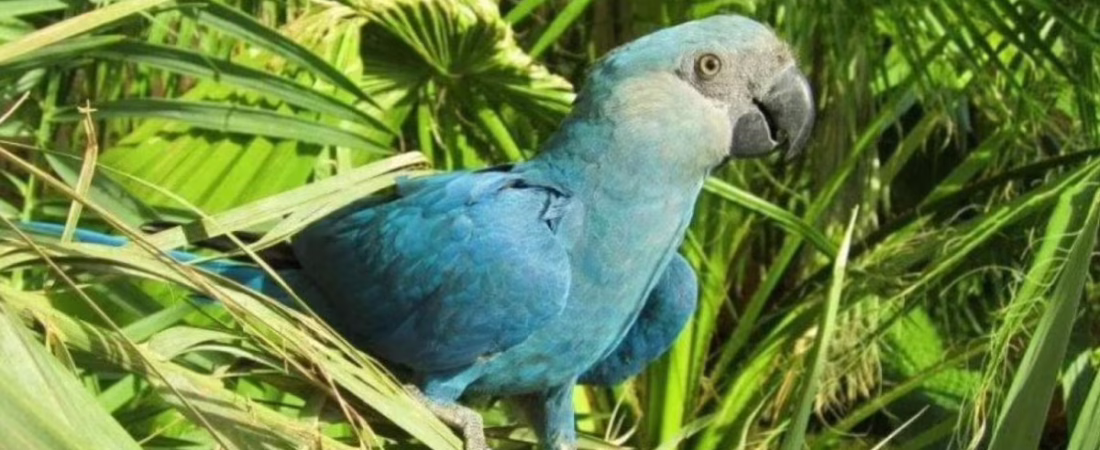 25ADRKAWQ5ADNCUXPCJL6H2MHU