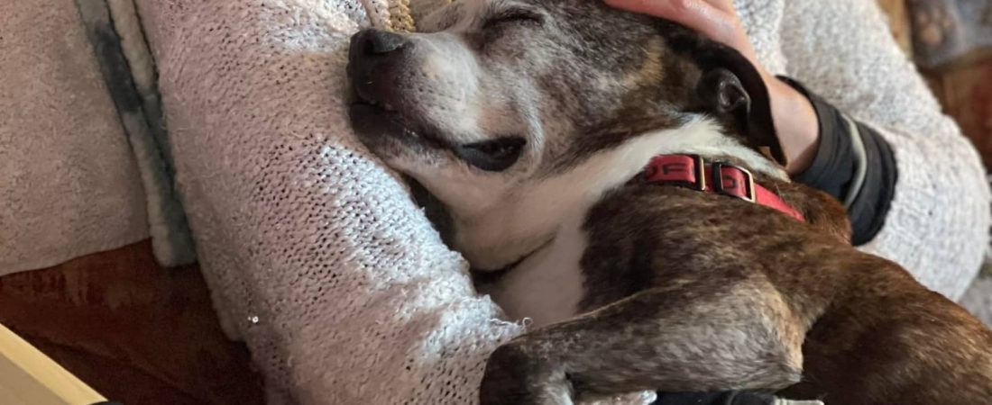 25VPDGHFGZDB5HNC7IDUCUGSYE