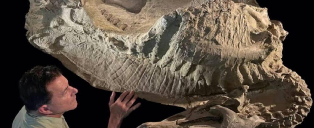 2910momia-dinosaurio-2127672