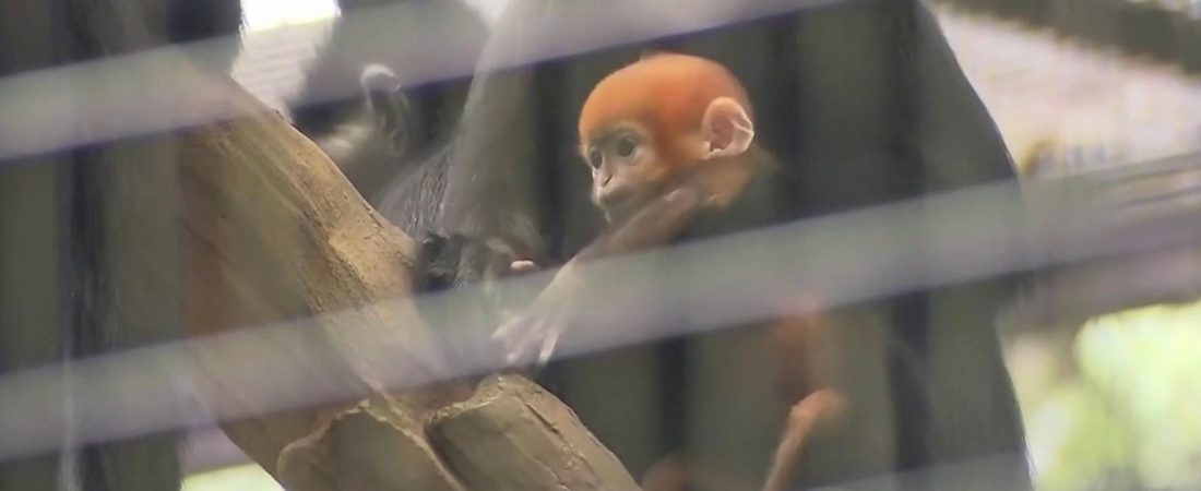 29955308073-1080pnbcstations