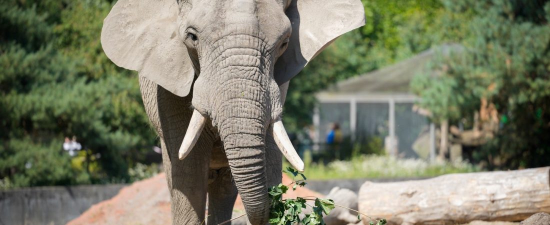 2A8Qtm6v9_2000x1500__1