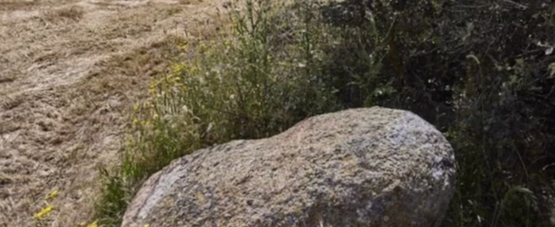 2QSGXFPK7NA7BK7JPGAFO4QL5A