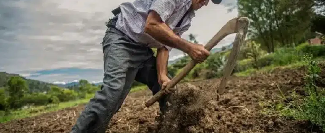 2cca7f053601f32c3de13981e34777a9