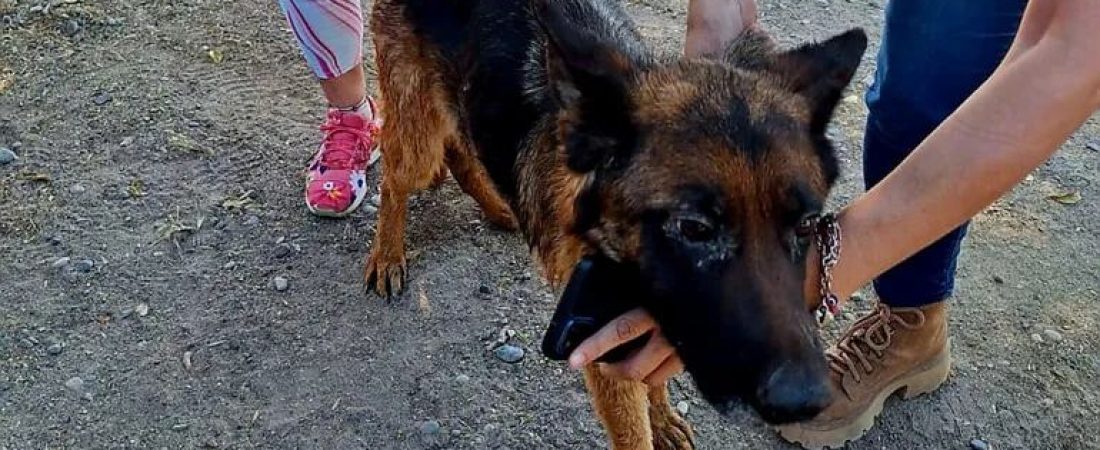 33O7BIPDG5AM5C7Y3VMAQGPKFM