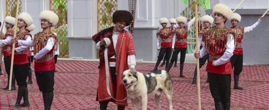 Turkmenistán ama tanto a los perros que tienen un día dedicado especialmente a su raza nacional.