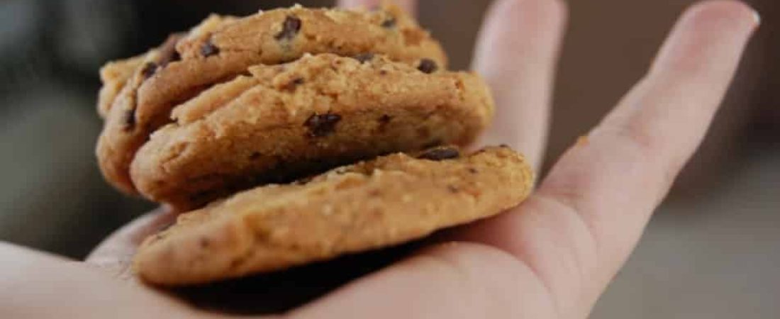 Autor: alexandria lomanno